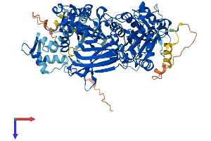 Phospholipase C delta 3 Protein (PLCd3) (AA 1-785) (His tag)