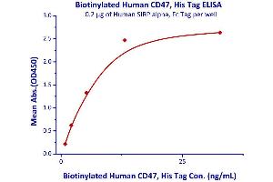 Binding Studies (Bind) image for CD47 (CD47) (AA 19-139) (Active) protein (His tag,AVI tag,Biotin) (ABIN4949015)