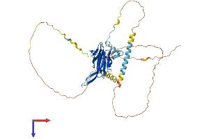 SNIP1 Protein (AA 1-396) (His tag)