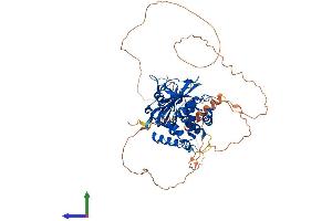 Protein Structure (PS) image for Ubiquitin Specific Peptidase 2 (USP2) (AA 1-605) protein (His tag) (ABIN7555895)