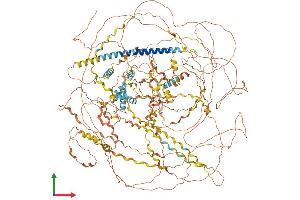 Protein Structure (PS) image for Collagen, Type XVII, alpha 1 (COL17A1) (AA 1-1470) protein (His tag) (ABIN7563608)