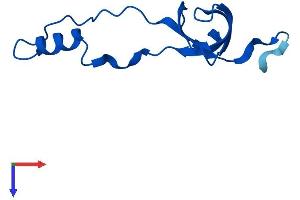 RPL36AL Protein (AA 1-106) (His tag)