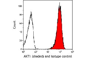 Flow Cytometry (FACS) image for anti-V-Akt Murine Thymoma Viral Oncogene Homolog 1 (AKT1) (AA 100-150) antibody (ABIN7795634)