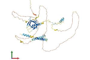 Protein Structure (PS) image for Pleckstrin Homology Domain Containing, Family O Member 2 (PLEKHO2) (AA 1-495) protein (His tag) (ABIN7559455)