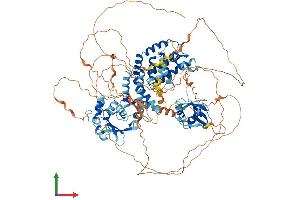 Protein Structure (PS) image for Ras and Rab Interactor 3 (RIN3) (AA 1-985) protein (His tag) (ABIN7555204)