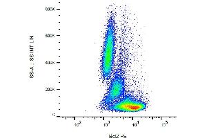 Flow cytometry analysis (intracellular staining) of human peripheral blood with anti-Bcl2 (Bcl-2/100) PE. (Bcl-2 Antikörper  (AA 41-54) (PE))