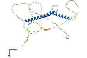 Neurogenin 2 Protein (NEUROG2) (AA 1-272) (His tag)