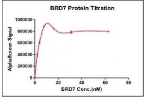 Activity Assay (AcA) image for Bromodomain Containing 7 (BRD7) (AA 129-236) protein (GST tag) (ABIN2669724)
