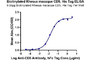 Immobilized Biotinylated Rhesus macaque CD5, His Tag at 0. (CD5 Protein (CD5) (AA 25-375) (His-Avi Tag,Biotin))