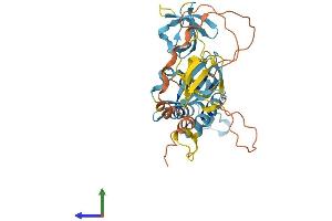 Protein Structure (PS) image for NADPH Oxidase Organizer 1 (NOXO1) (AA 1-349) protein (His tag) (ABIN7559824)
