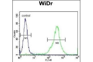 FB Antibody (N-term) (ABIN390878 and ABIN2841092) flow cytometric analysis of WiDr cells (right histogram) compared to a negative control cell (left histogram). (FAM3B Antikörper  (N-Term))