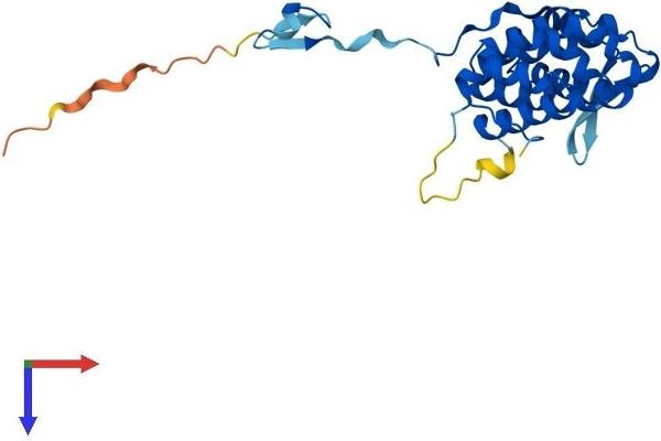 PACRG Protein (AA 1-241) (His tag)