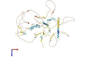AlphaFold protein structure predicition of Mouse Recombinant Mdm1 Protein, UniprotID Q9D067