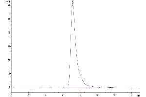The purity of Human IL-3 R alpha is greater than 95 % as determined by SEC-HPLC. (IL3RA Protein (AA 19-305) (His tag))