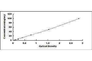 Typical standard curve (GJB2 ELISA Kit)