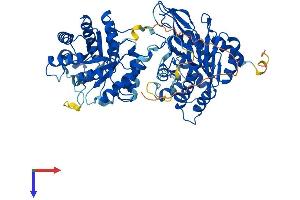 MTHFR Protein (AA 1-654) (His tag)
