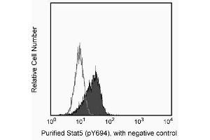 Image no. 3 for anti-Signal Transducer and Activator of Transcription 5A (STAT5A) (pTyr694) antibody (ABIN968702) (STAT5A Antikörper  (pTyr694))