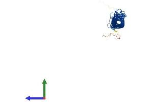 Protein Structure (PS) image for Tektin 1 (TEKT1) (AA 1-418) protein (His tag) (ABIN7544429)