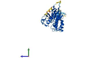 Protein Structure (PS) image for Metallophosphoesterase 1 (MPPE1) (AA 1-396) protein (His tag) (ABIN7558422)