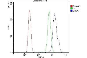 Flow Cytometry analysis of HL-60 cells using anti-BRCA1 antibody (ABIN7600079). (BRCA1 Antikörper  (AA 1467-1863))