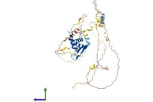 Protein Structure (PS) image for Forkhead Box J1 (FOXJ1) (AA 1-421) protein (His tag) (ABIN7557726)