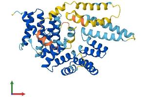 Protein Structure (PS) image for Interferon-Induced Protein with Tetratricopeptide Repeats 3 (IFIT3) (AA 1-403) protein (His tag) (ABIN7563986)
