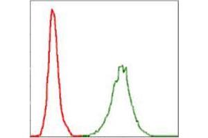 Flow cytometric analysis of Jurkat cells using NEFL mouse mAb (green) and negative control (red). (NEFL Antikörper)