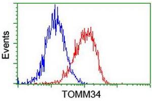 Image no. 2 for anti-Translocase of Outer Mitochondrial Membrane 34 (TOMM34) antibody (ABIN1501463) (TOMM34 Antikörper)
