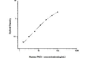 PKC theta ELISA Kit