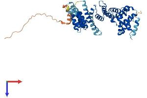 TAF1A Protein (AA 1-450) (His tag)