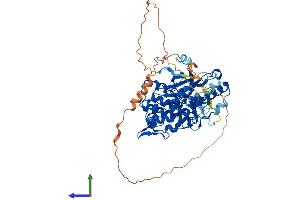 Protein Structure (PS) image for Nemo-Like Kinase (NLK) (AA 1-527) protein (His tag) (ABIN7562452)