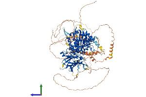 AlphaFold protein structure predicition of Human Recombinant AGBL3 Protein, UniprotID Q8NEM8 (AGBL3 Protein (AA 1-1001) (His tag))