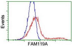 HEK293T cells transfected with either RC207629 overexpress plasmid (Red) or empty vector control plasmid (Blue) were immunostained by anti-FAM119A antibody (ABIN2455138), and then analyzed by flow cytometry. (FAM119A Antikörper)