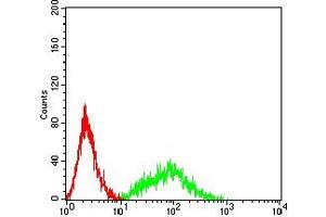 Flow cytometric analysis of HL-60 cells using CD141 mouse mAb (green) and negative control (red). (Thrombomodulin Antikörper  (AA 297-505))