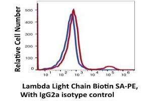 Flow Cytometry (FACS) image for anti-lambda Light Chain (Lambda-IgLC) antibody (Biotin) (ABIN6253019) (Lambda-IgLC Antikörper  (Biotin))