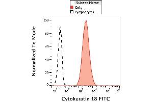 Intracellular staining of HeLa cells with anti-cytokeratin 18 (DC-10) FITC. (Cytokeratin 18 Antikörper  (FITC))