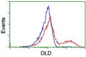 HEK293T cells transfected with either RC200639 overexpress plasmid (Red) or empty vector control plasmid (Blue) were immunostained by anti-DLD antibody (ABIN2454950), and then analyzed by flow cytometry. (DLD Antikörper)