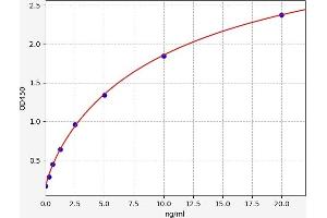 Dopamine d2 Receptor ELISA Kit