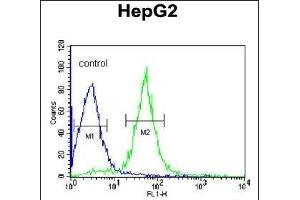AIFM2 Antibody (C-term) (ABIN650623 and ABIN2846510) flow cytometric analysis of HepG2 cells (right histogram) compared to a negative control cell (left histogram). (AIFM2 Antikörper  (C-Term))