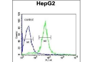 Flow Cytometry (FACS) image for anti-Apoptosis-Inducing Factor, Mitochondrion-Associated, 2 (AIFM2) (AA 319-348), (C-Term) antibody (ABIN650623)