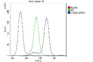 Flow Cytometry analysis of JK cells using anti-CD84 antibody (ABIN6719602). (CD84 Antikörper  (AA 22-225))