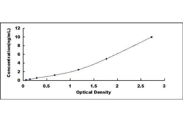 CD39 ELISA Kit