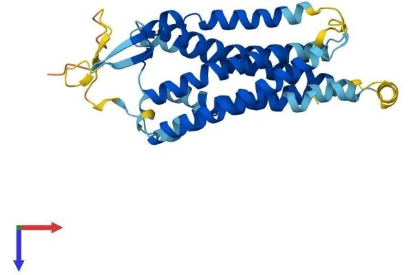 GNRHR Protein (AA 1-328) (His tag)