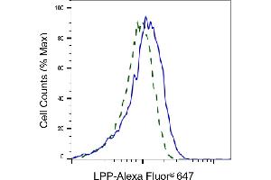 Validation of LPP knockdown using flow cytometry. (Rekombinanter LPP Antikörper)