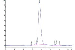 The purity of Cynomolgus TIM4 is greater than 95 % as determined by SEC-HPLC. (TIMD4 Protein (AA 25-305) (His tag))