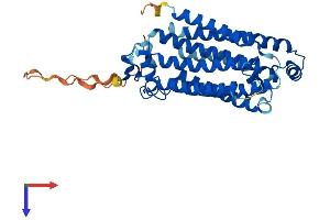 Progestin and AdipoQ Receptor Family Member IX (PAQR9) (AA 1-377) protein (His tag)