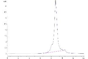 Size-exclusion chromatography-High Pressure Liquid Chromatography (SEC-HPLC) image for Fc Receptor, IgG, High Affinity I (FCGR1) (AA 16-288) protein (His-Avi Tag) (ABIN7274672)