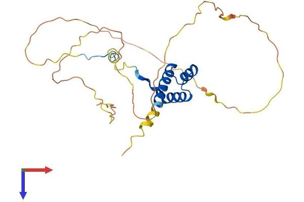 HOXB5 Protein (AA 1-269) (His tag)