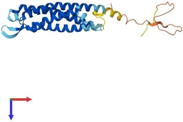 Synaptogyrin 3 Protein (SYNGR3) (AA 1-229) (His tag)
