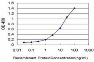 Detection limit for recombinant GST tagged HOXA11 is approximately 0. (Homeobox A11 Antikörper  (AA 60-166))